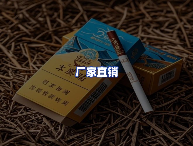 专业团队